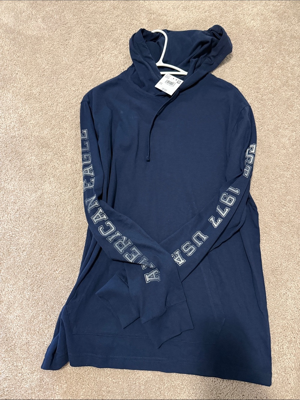 American Eagle Outfitters Navy Graphic Sleeve Crewneck Hoodie